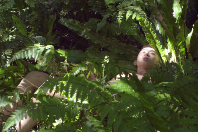 nackte-person-im-farn-wald