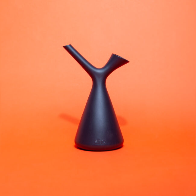 giesskanne-zimmerpflanzen-pflege