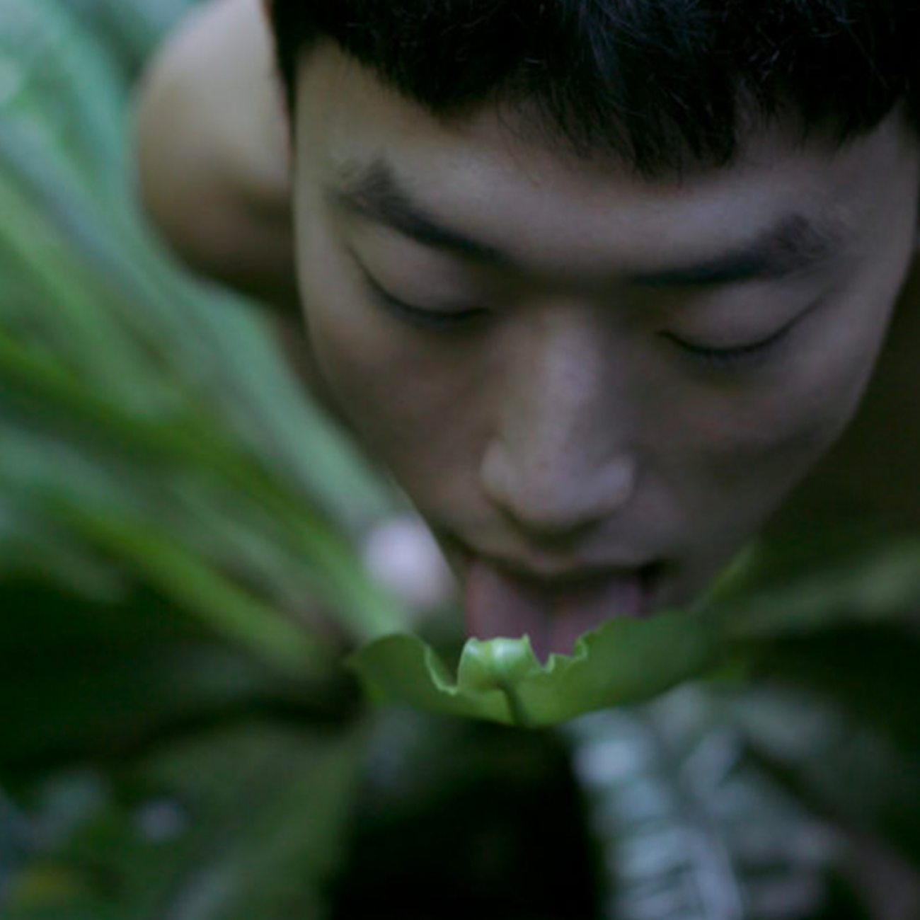 ausgestreckte-zunge-pflanze