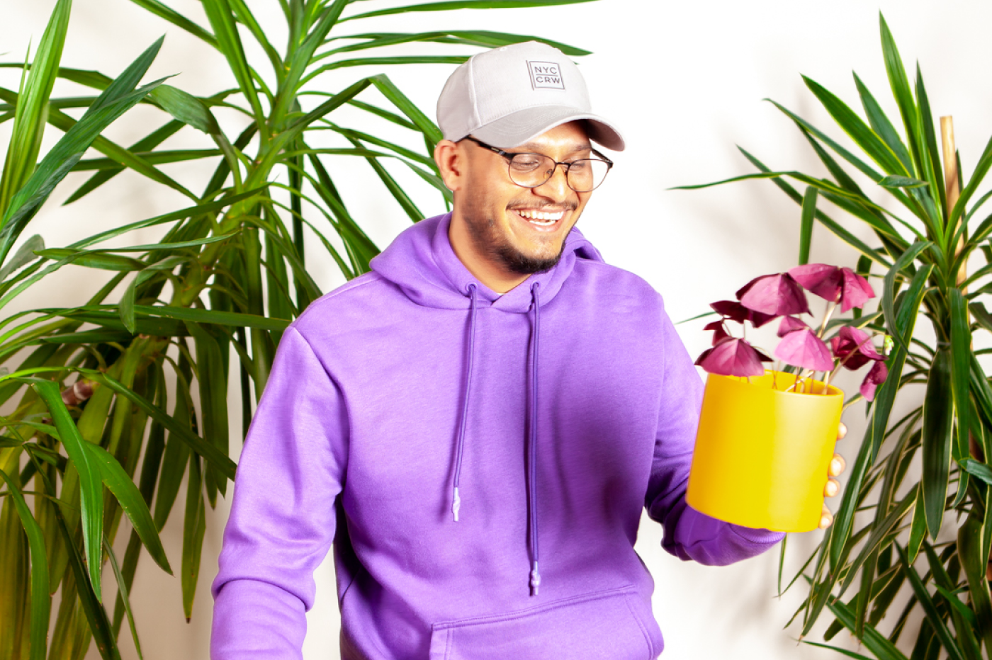 somesh_plantoftheweek-oxalistriangularis