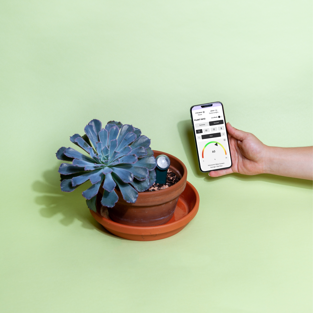 CheckthesoilwithFYTAbeam_AppScren_1080x1080