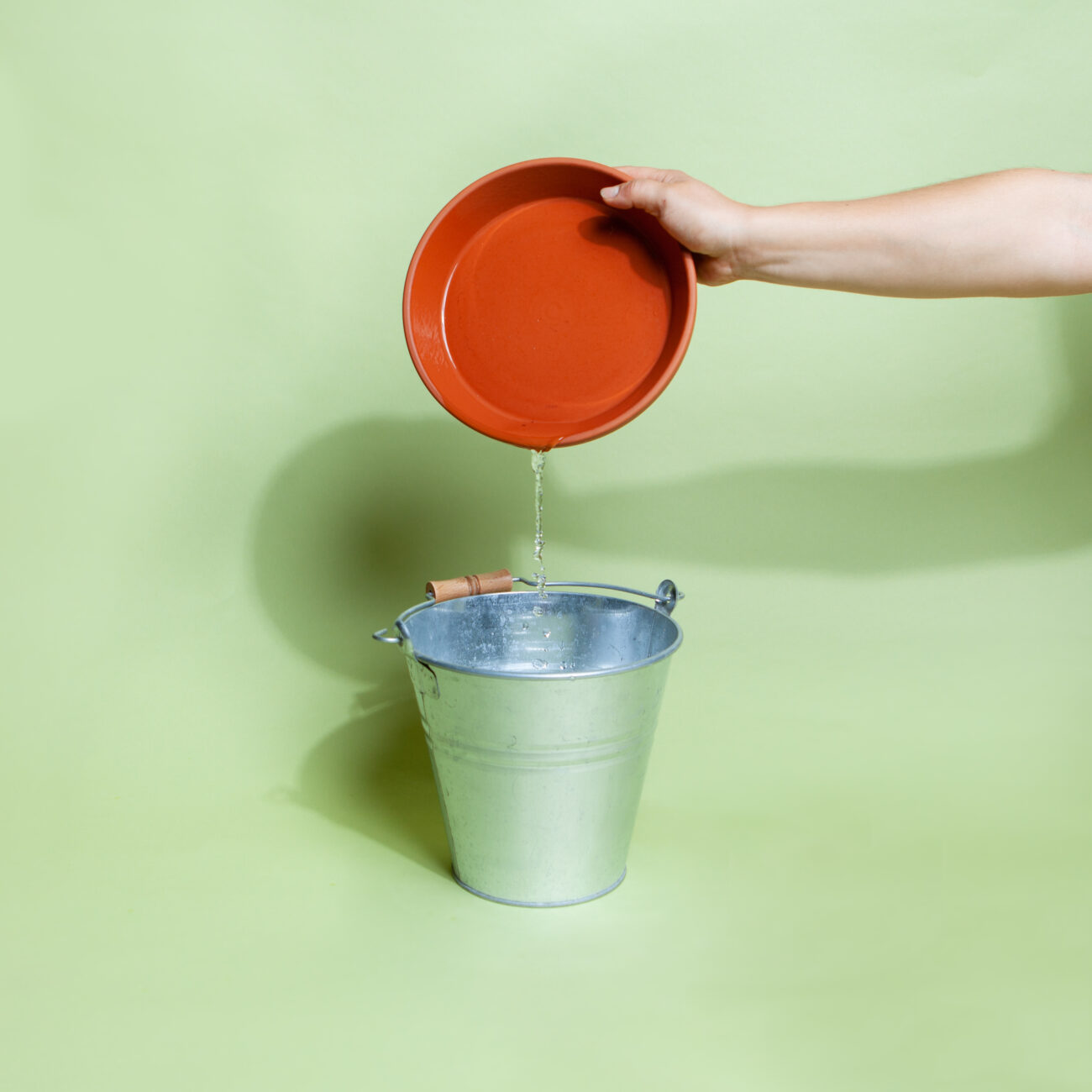 ueberwaesserung-sukkulente-wasser-ueberschuss-abgiessen