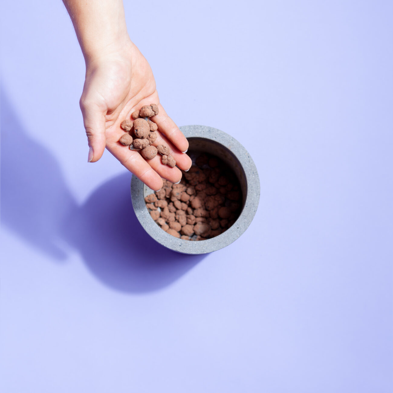 umtopfen-drainageschicht-blähton