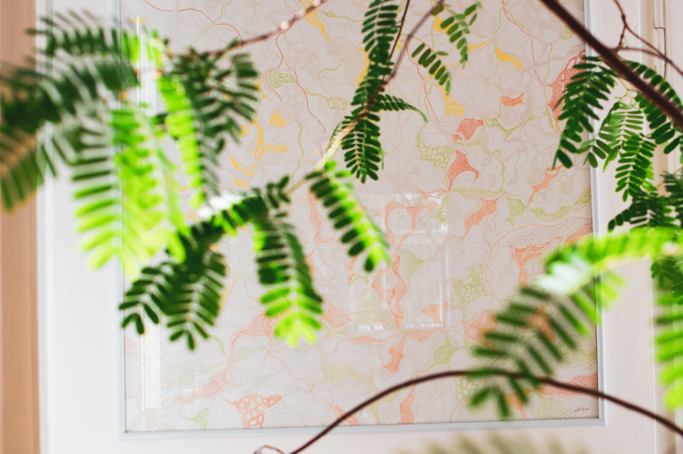 plant-illustrations-art