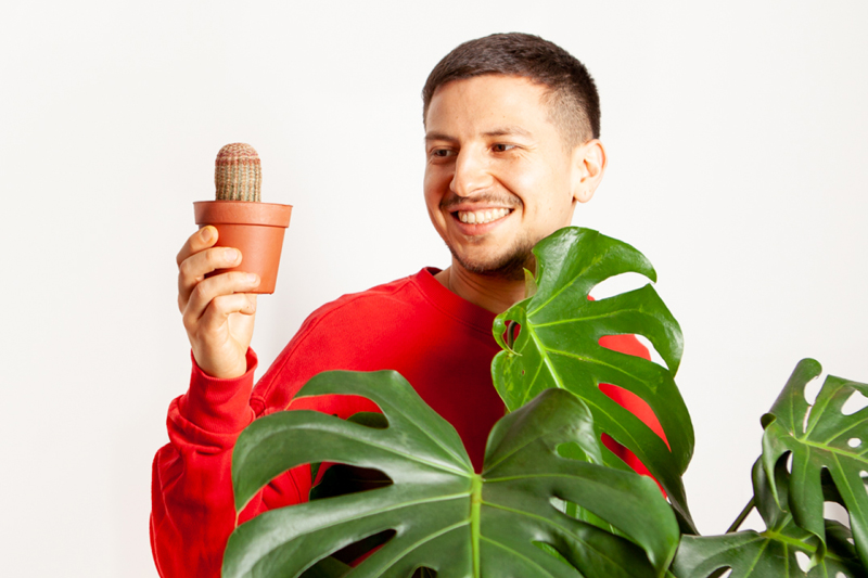 echinocereus-rigidissimus-cactus