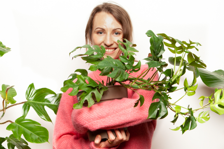 rhaphidophora-tetrasperma-mini-monstera