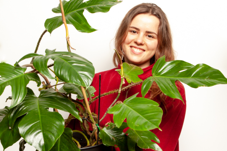 philodendron-squamiferum