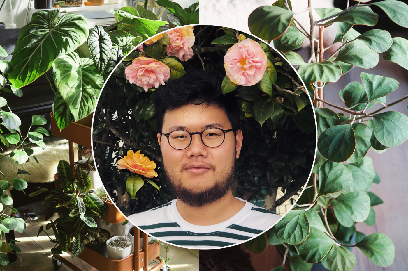 kevinsgreenpets-plantfluencer-profil