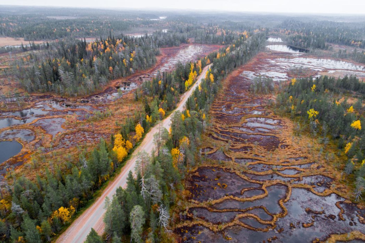 Moore_Torf_Nordfinnland