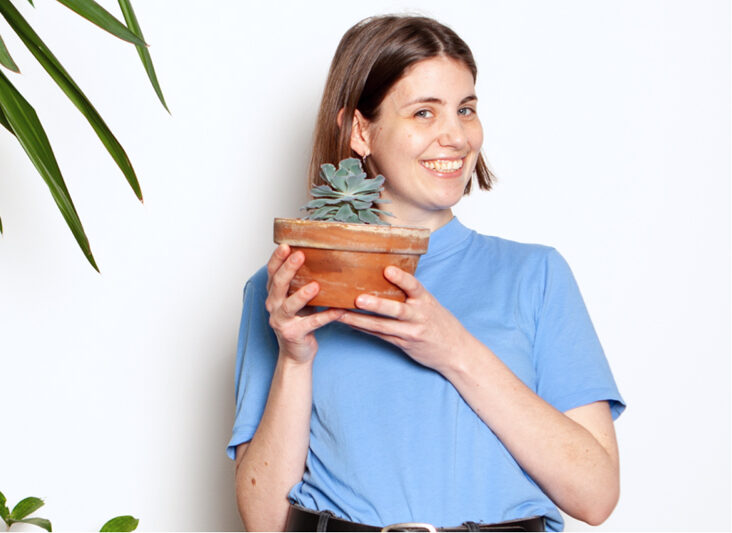 Echeveria shaviana - Lieblingspflanze