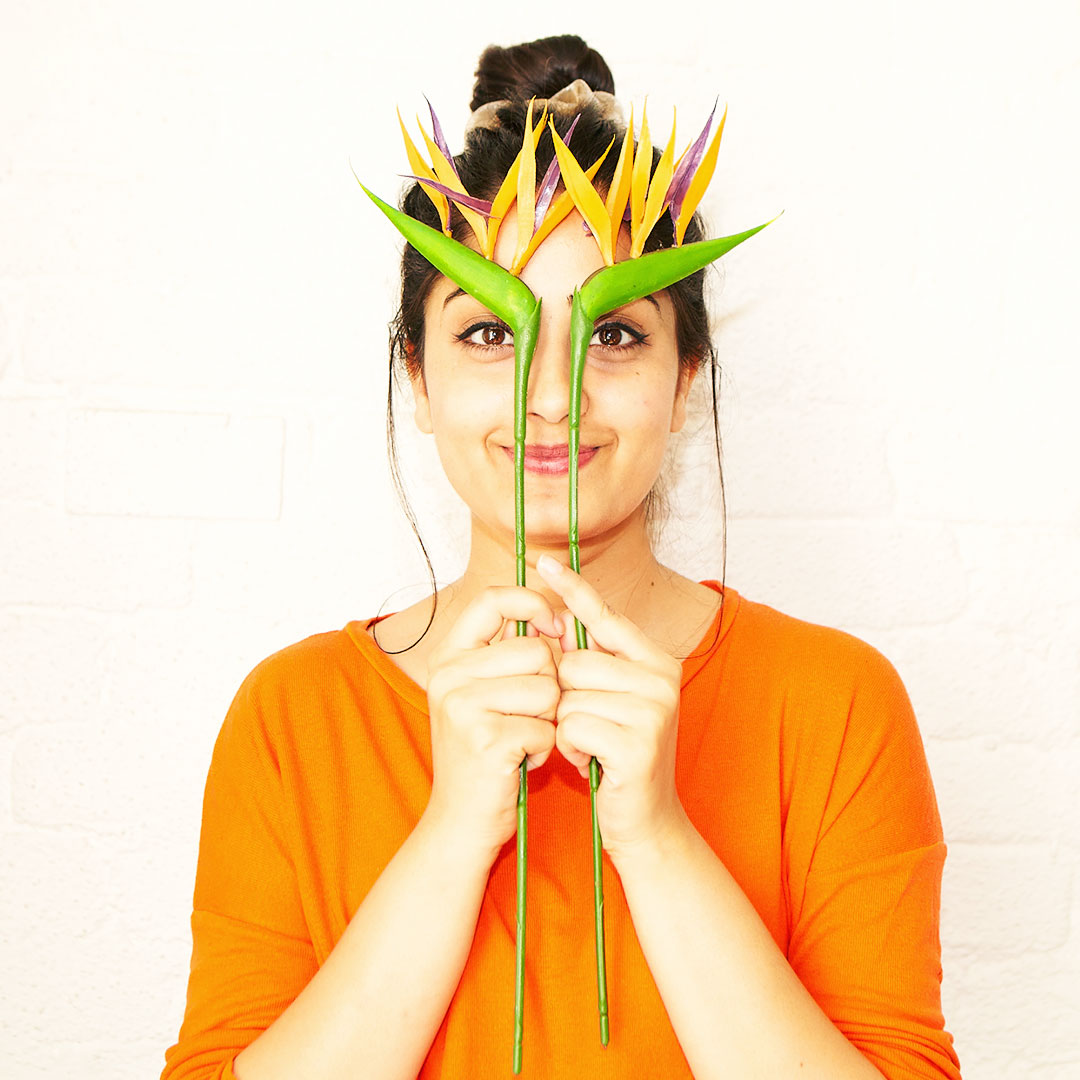 Prati_Strelitzie_1080