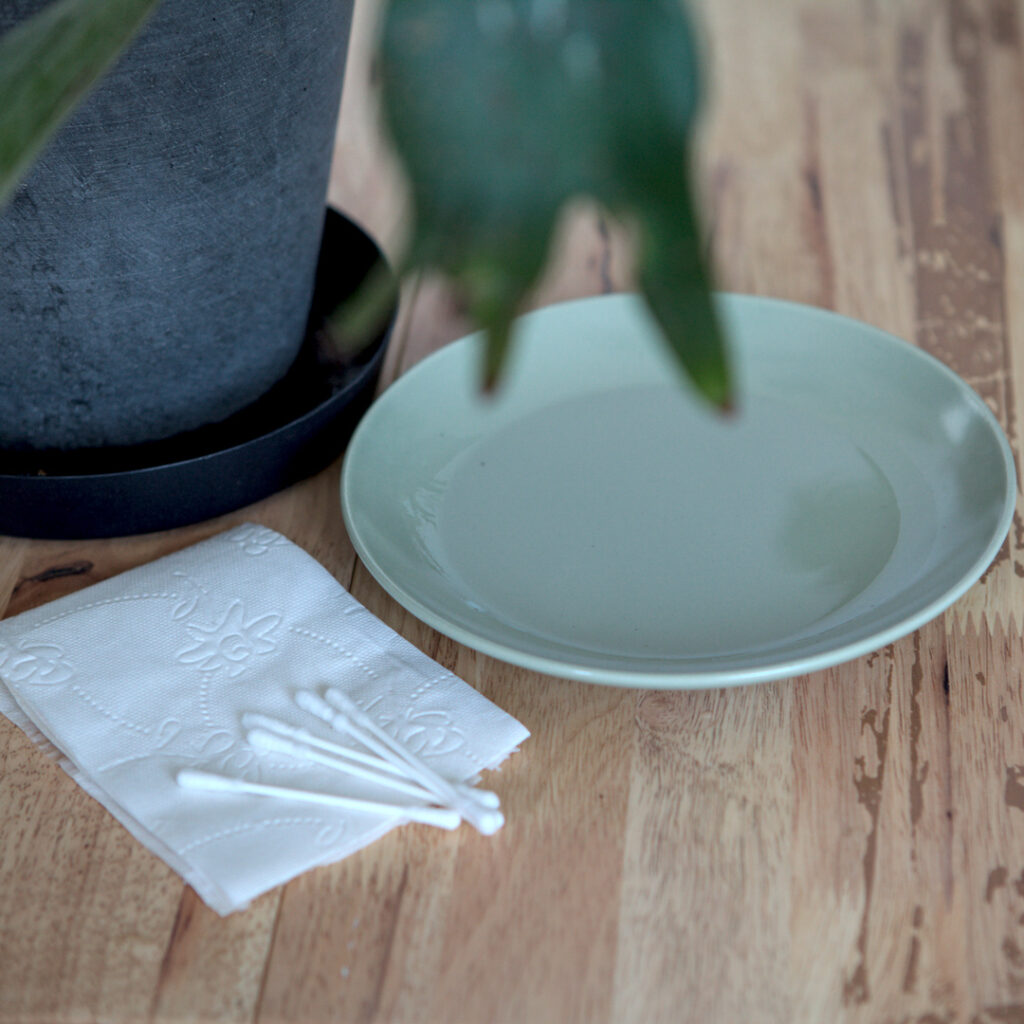 Farn Alkohol und Wattestäbchen bevor