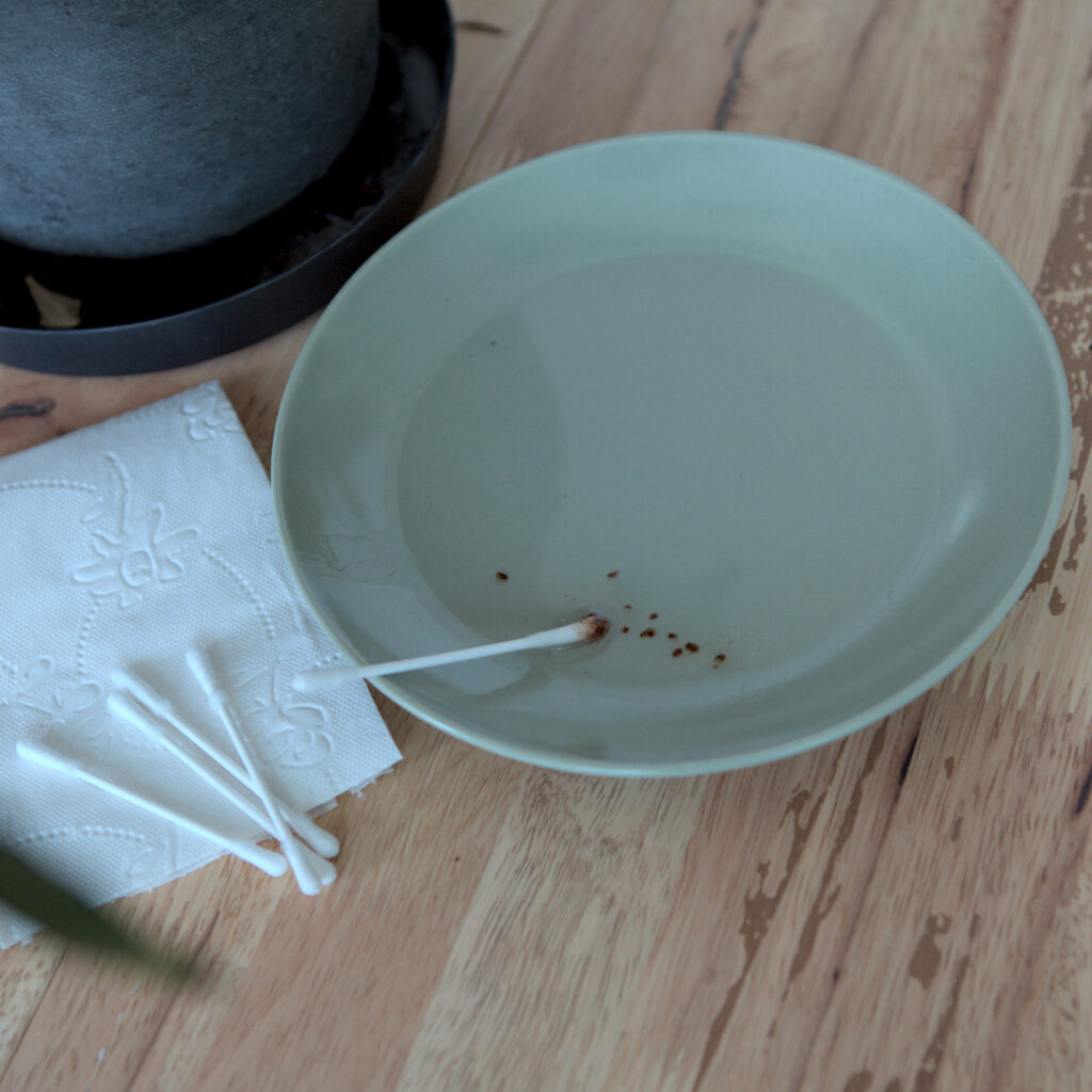 Farn Wattestäbchen danach