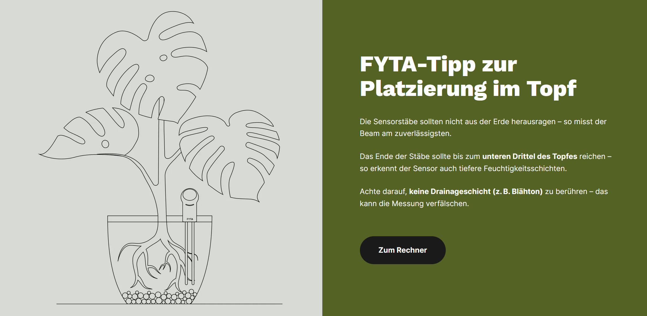 Hier geht's zum Rechner