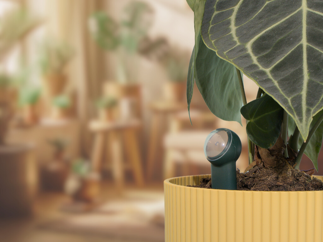 korrekte Platzierung 4 3