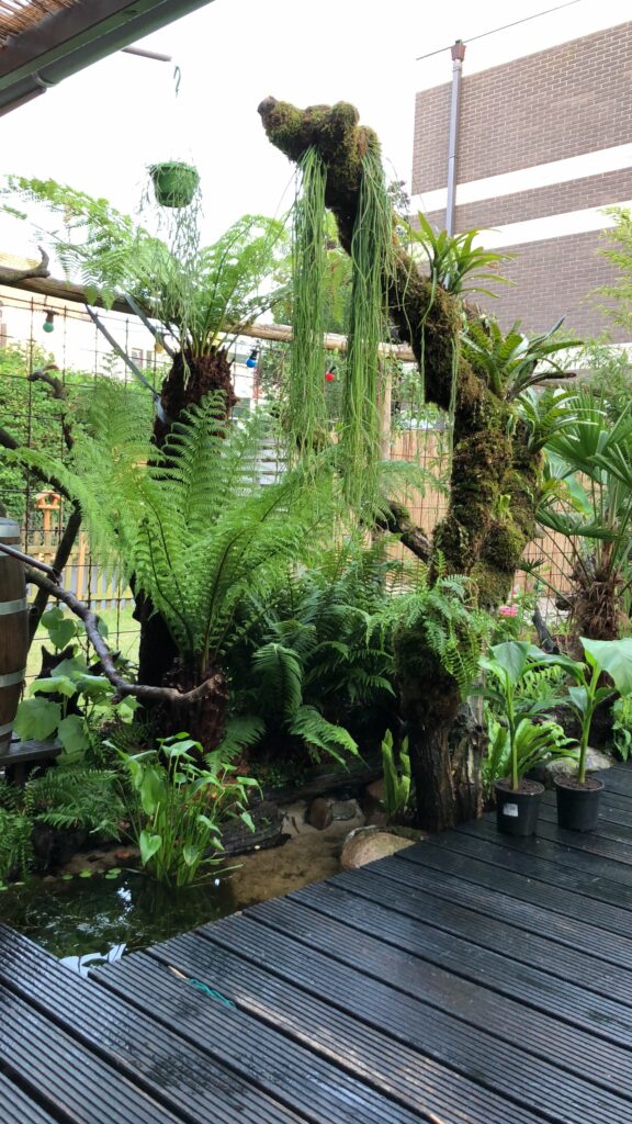 Dead tree as a climbing aid