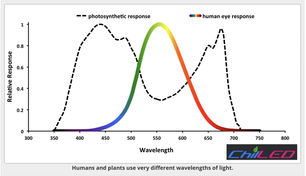 Screenshot 2024-04-11 at 12.38.00