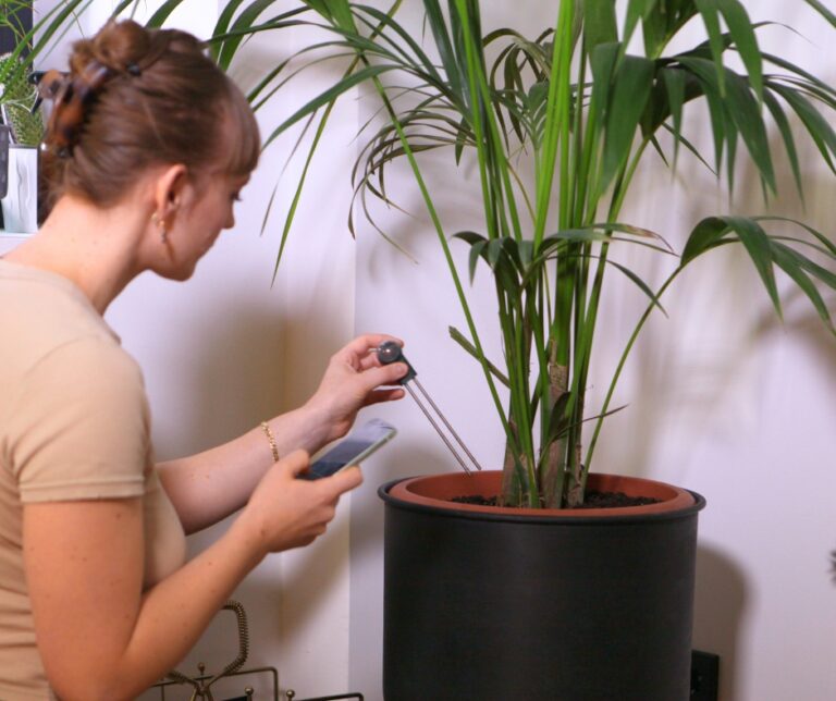 Parameter Bilder Artikel