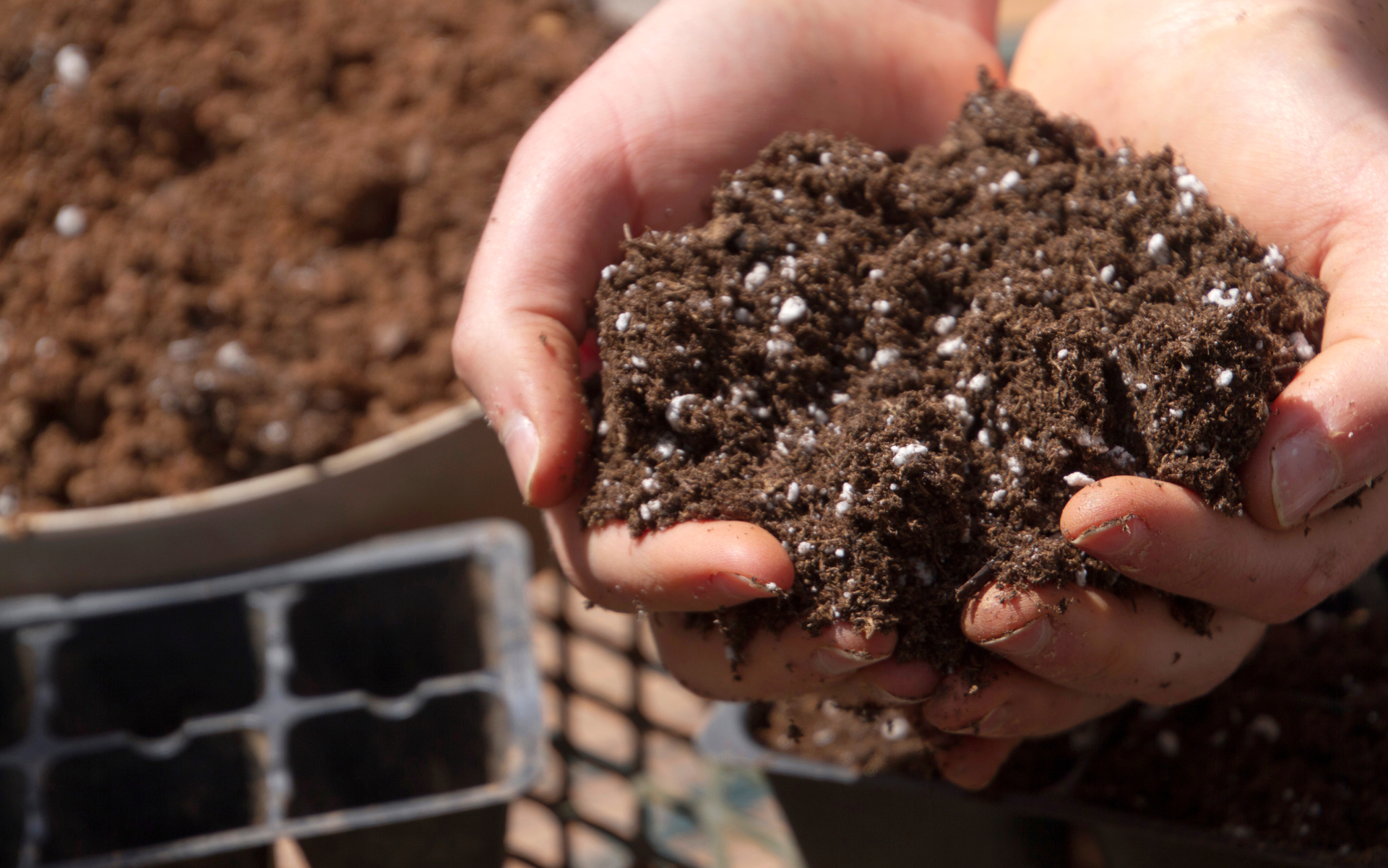 Advertorial Bilder Licht(1)