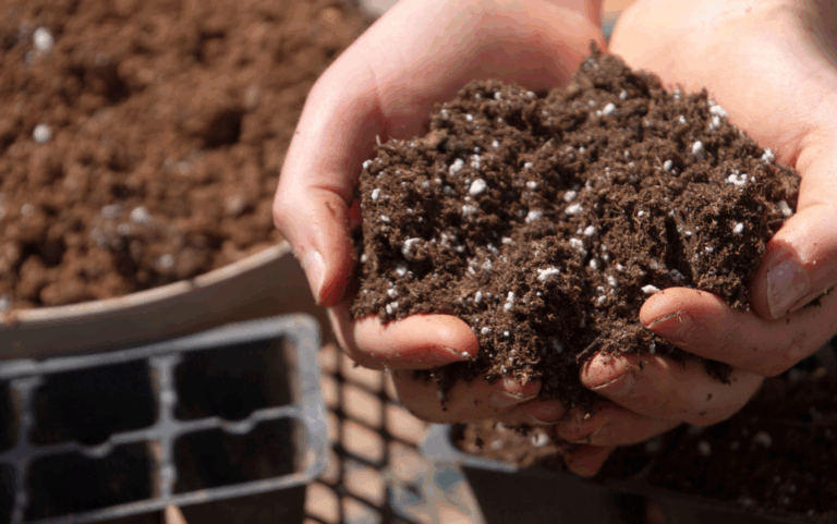 Advertorial Bilder Licht(1)