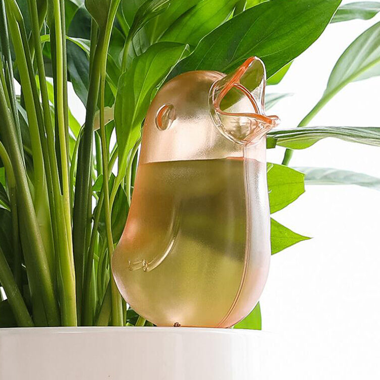 sg-11134201-7rdx2-lyn4uzdnizx679