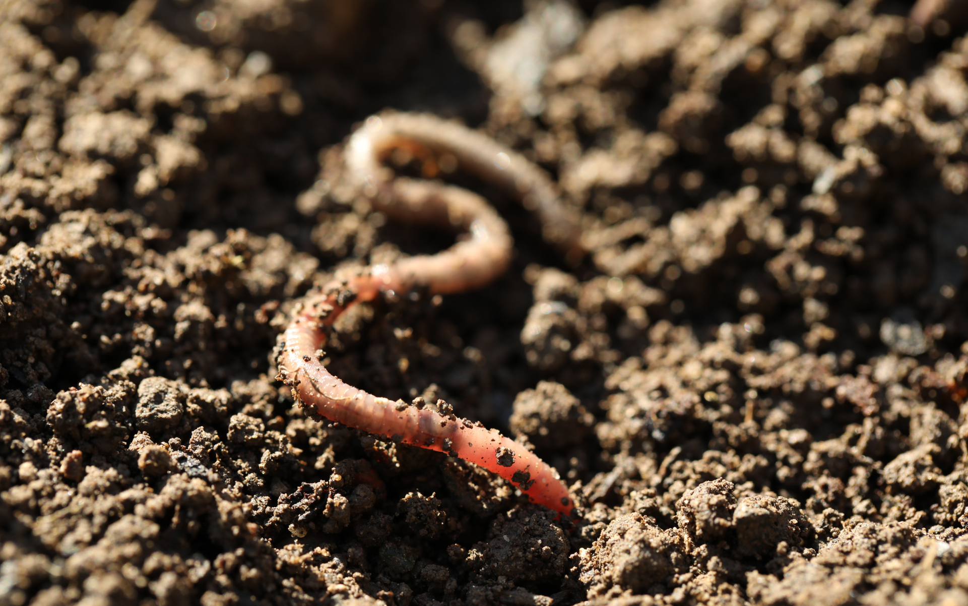 Advertorial Bilder Licht(2)