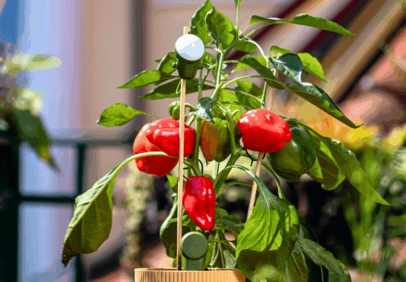 Artikel Headerbilder