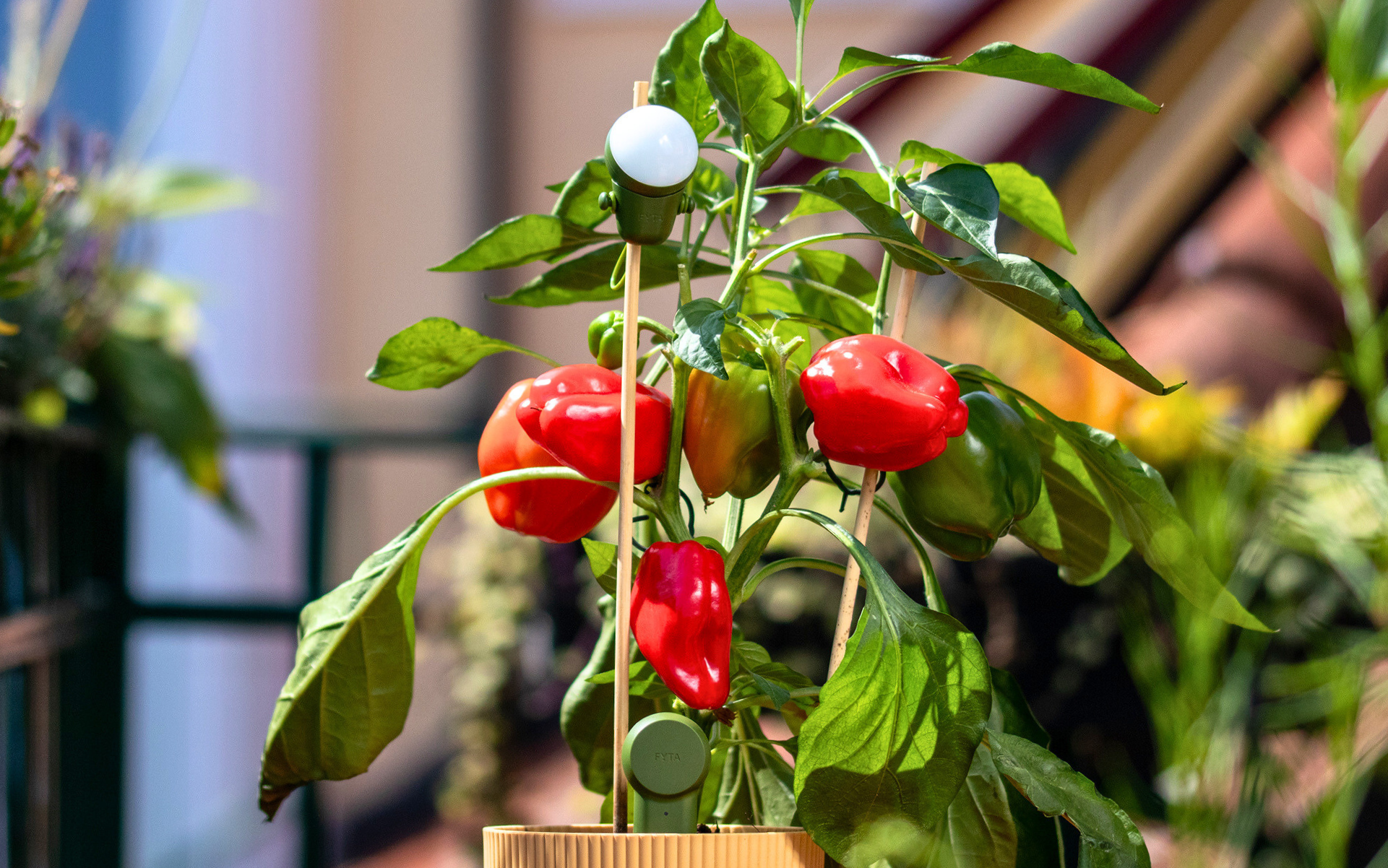 Artikel Headerbilder