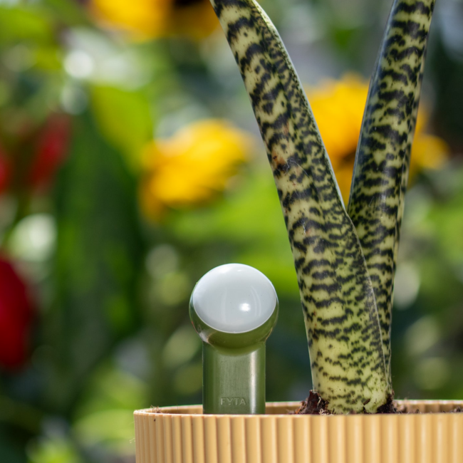 Design ohne Titel (4)