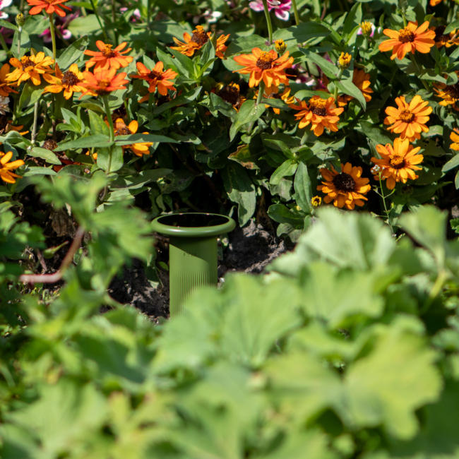 Design ohne Titel (5)