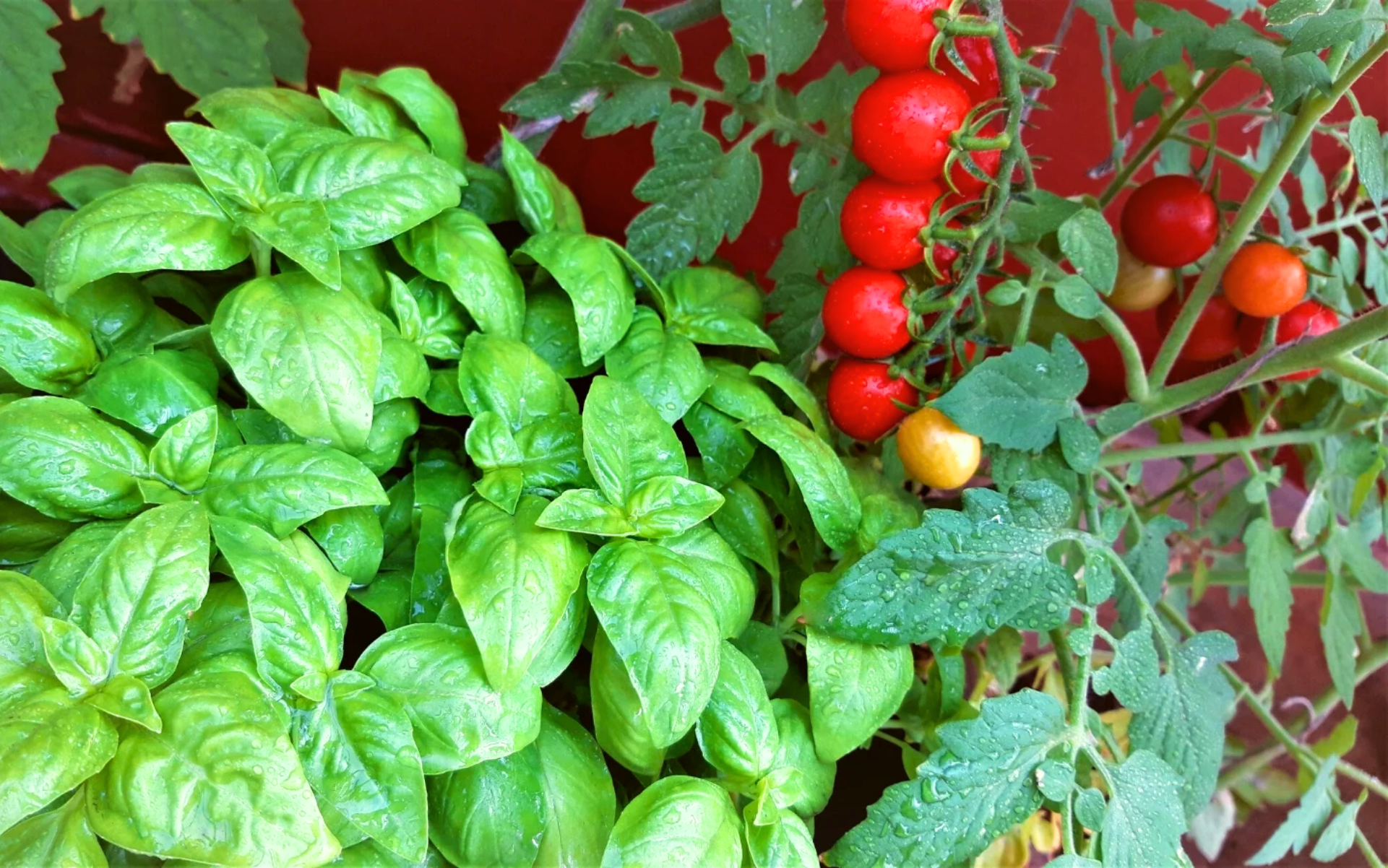 Artikel Headerbilder(2)