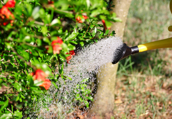 Artikel Headerbilder (6)