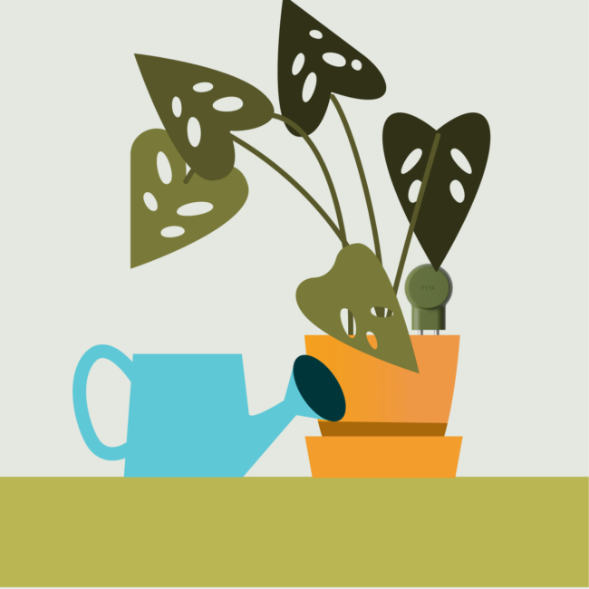 Potted_01