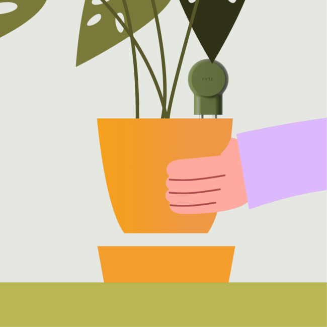 Potted_03